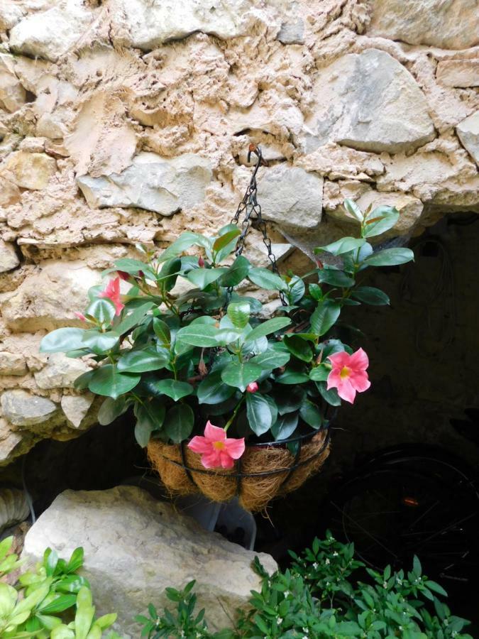 La Maison Jules Goux Bed and Breakfast Mirmande Esterno foto
